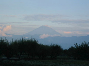 久しぶり！きれいな富士山
