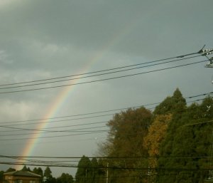 虹でござんす