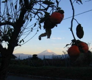 photo by hide