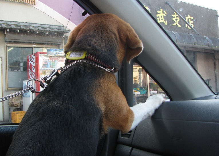 いい匂いかも…